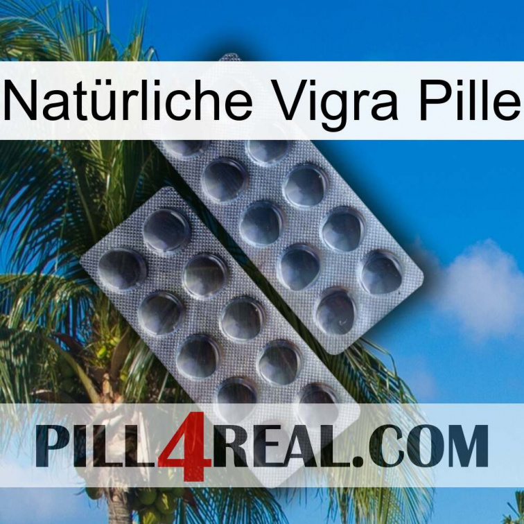 Natürliche Vigra Pille 31